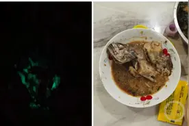 我看看怎么个事？红烧鱼半夜冒绿光图片