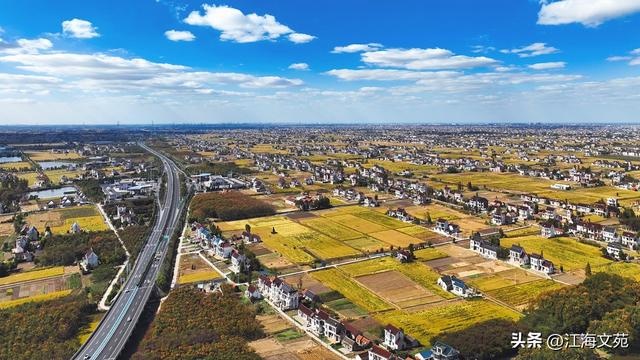 故乡美艳令人醉