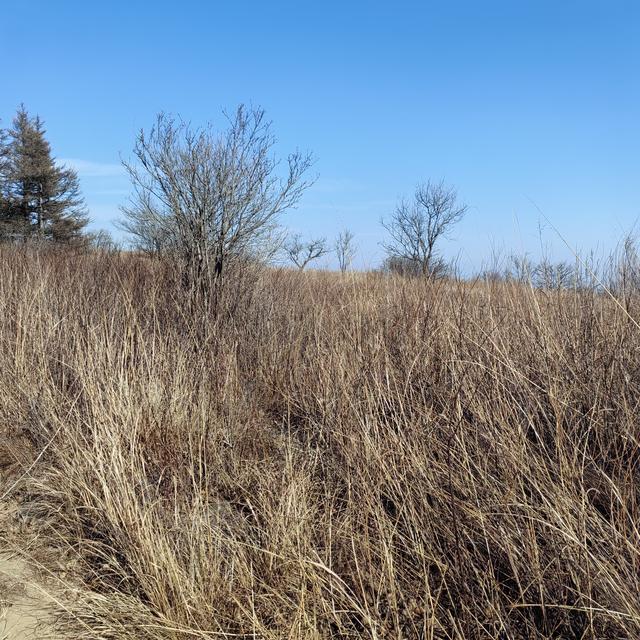 大觉寺凤凰岭北线徒步