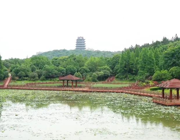 株洲攸县一日游十大必去旅游景点