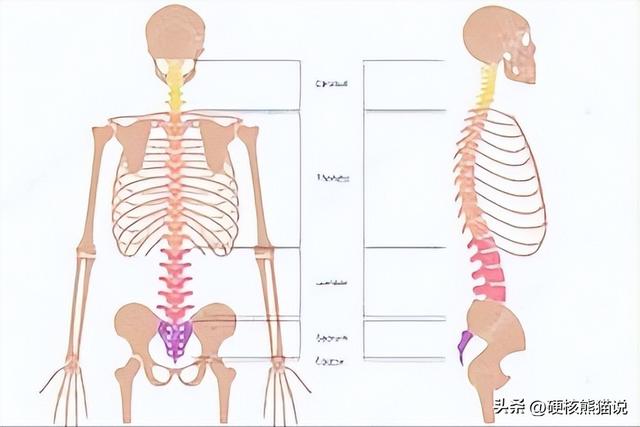 宇树机器人H2震撼技术，一场中国式崛起
