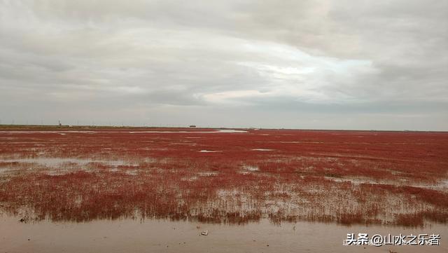 环游大东北之漫步锦州凌海红海滩