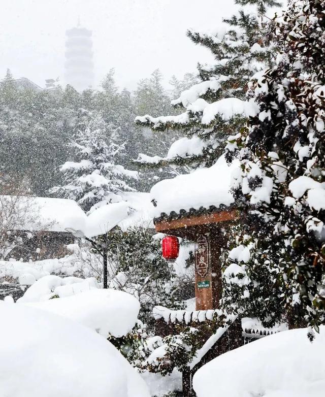 雪雪雪雪！烟台高热玩法攻略来了！