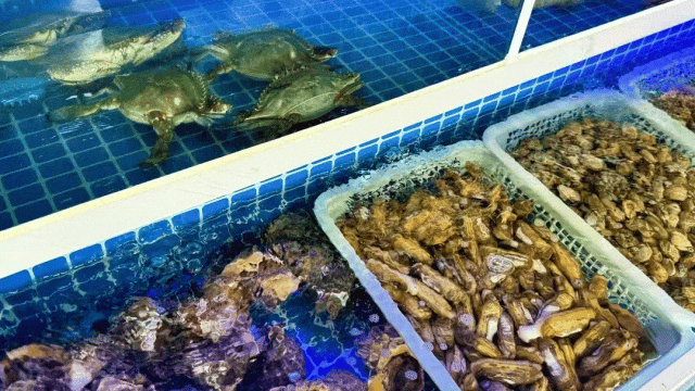 看海！挖宝！狂炫海鲜！这里的独家快乐太上头～