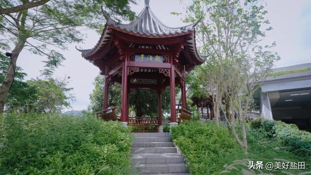 Discover Chung Ying Street’s Hidden Cape Gem!