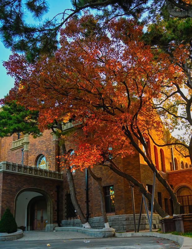 长春松苑宾馆：枫景如画醉游人