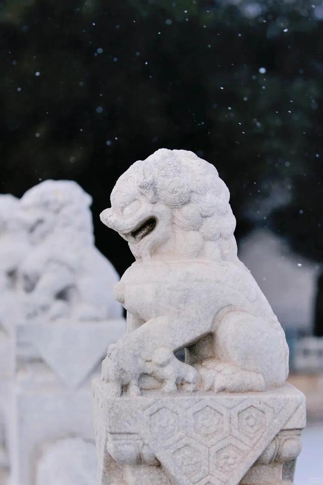 2026年第一场雪！颐和园美成了“雪中冰嬉图”