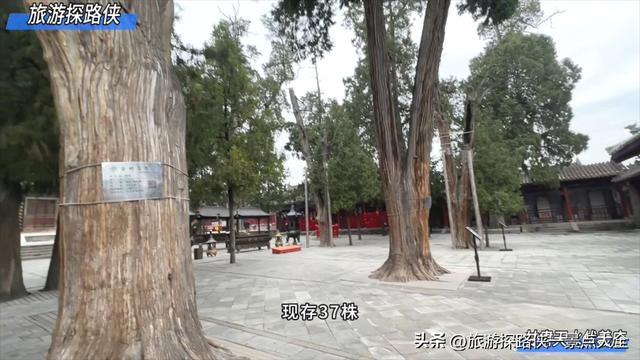 到天水玩值得去的地方，除了麦积山，当然要数伏羲庙啦！