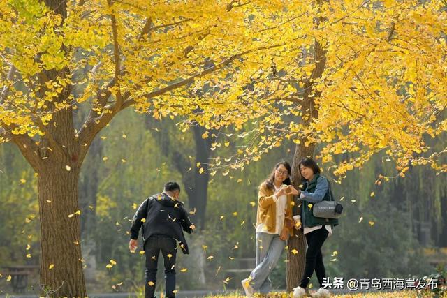 好！多！颜！色！啊！