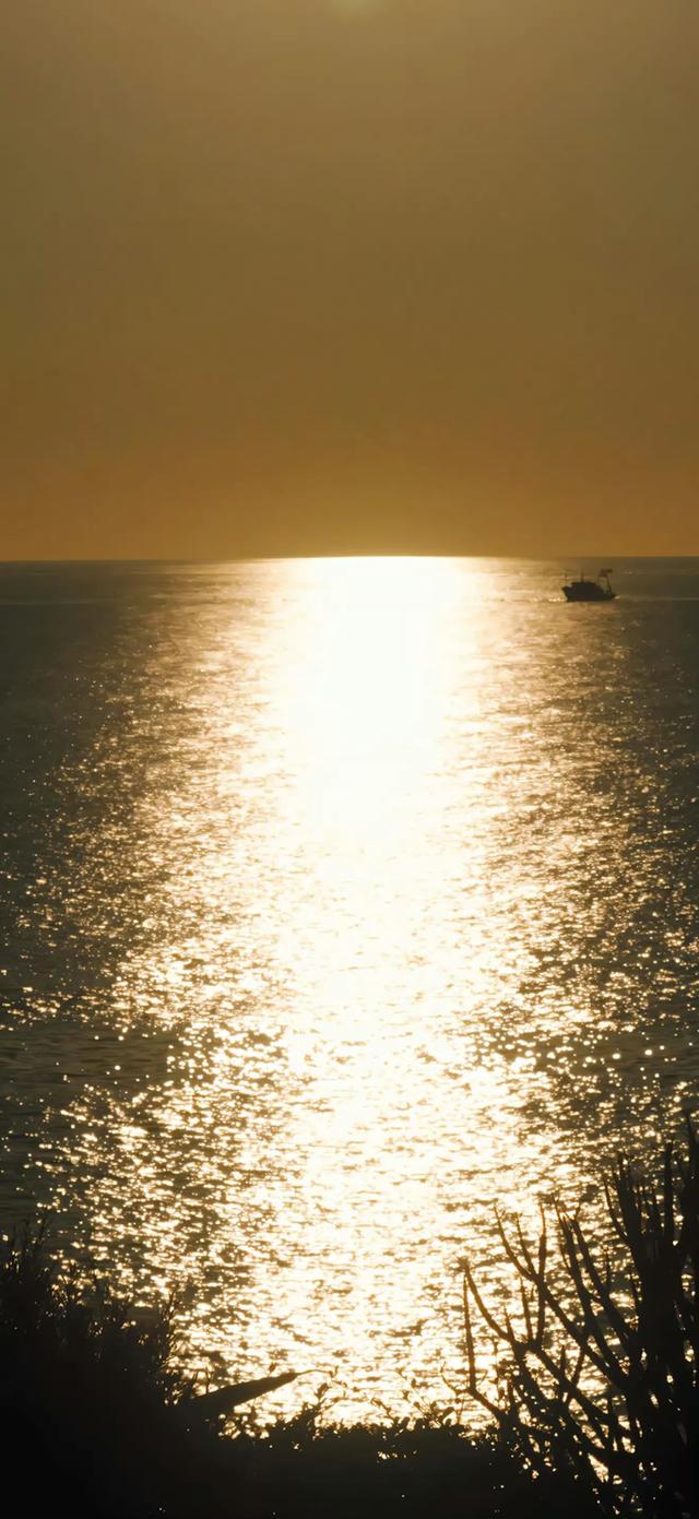 风景壁纸已送达