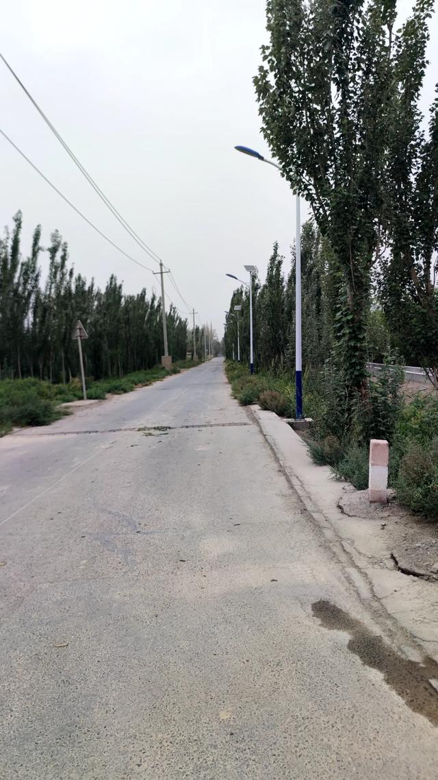 若羌待了4天有些无聊，不过也有些有意思的地方