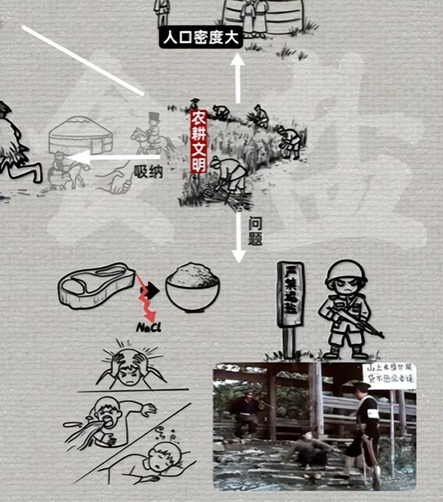 为 “白色黄金” 拼命？曾是古代 “硬通货”，王朝没它活不过3年！