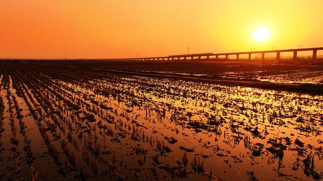 #运城头条#山西绛州：汾河岸畔高铁汾河“龙飞凤舞”入画来