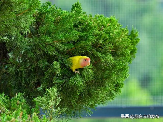 【乐游烟台】烟台新开的！6000亩超大游乐场，快来玩→
