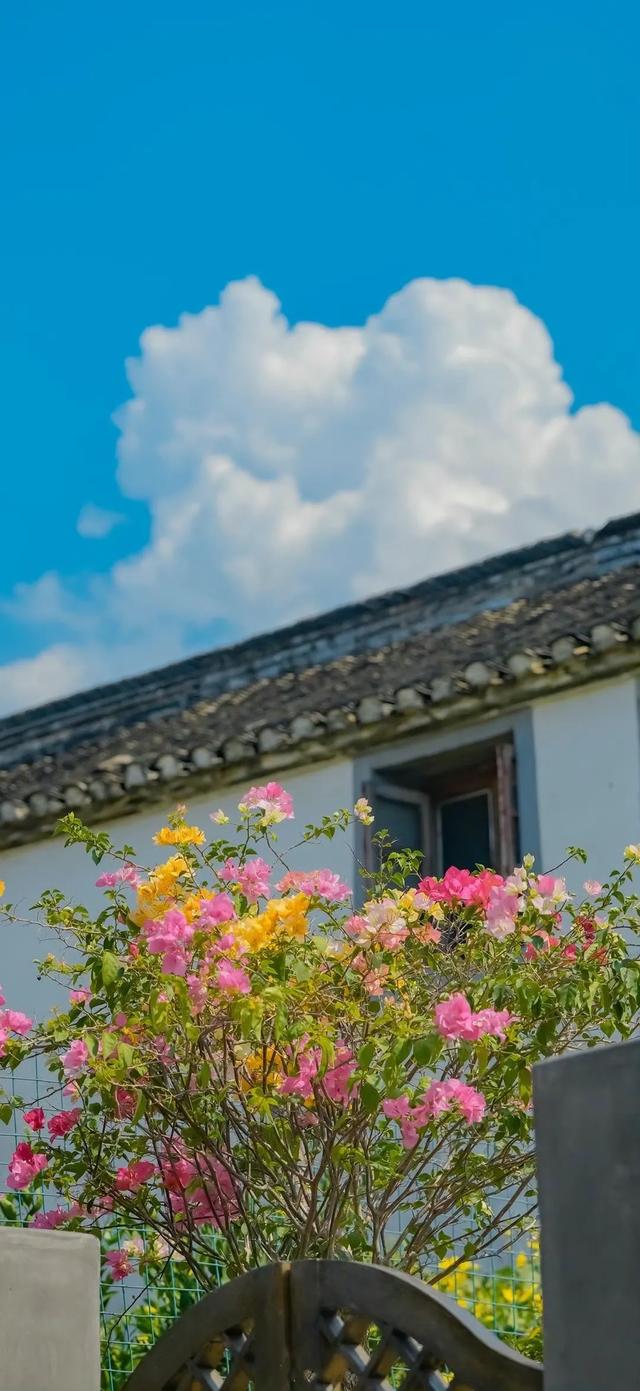 风景壁纸已送达