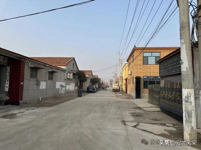 冠县乡韵·清水镇后井寨村