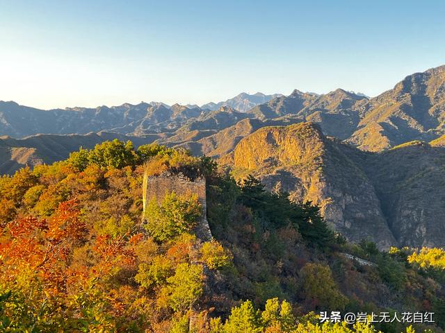 长城徒步之94：密云烧香峪、五虎门、黑谷关长城秋色