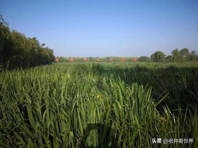 骑车环游太白湖 文井明新