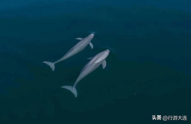 《人民日报》（海外版）重磅推荐！去大连，乐游海岛