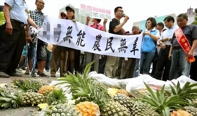 别被表象骗了，她根本不是“统派”，而是彻头彻尾的“台独”