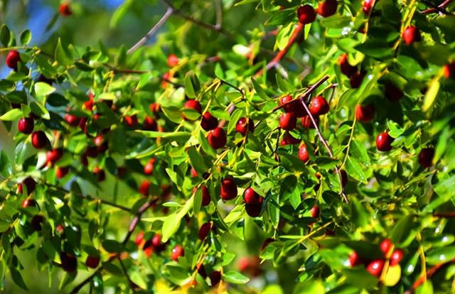 小城故事多——今天给大家介绍有着“小江南”之称的张掖市临泽县