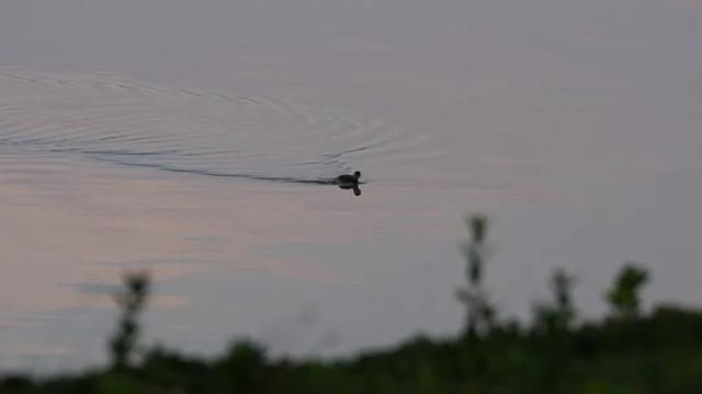 谁说初冬只有萧瑟？来太白湖新区解锁绚烂生机打卡地