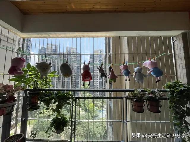 浙江发现一户人家阳台，果然聪明人，大开眼界，给大家晒晒！