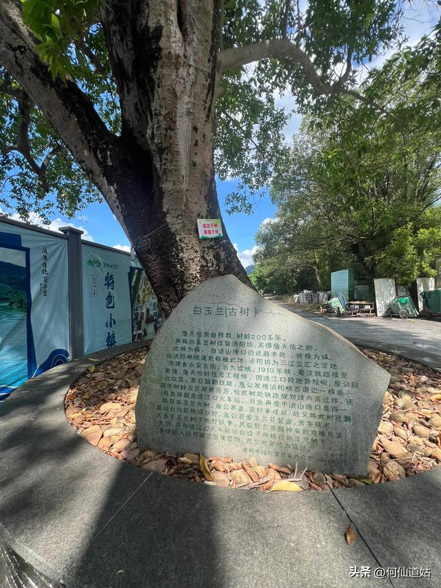 这就是现在的浈阳峡