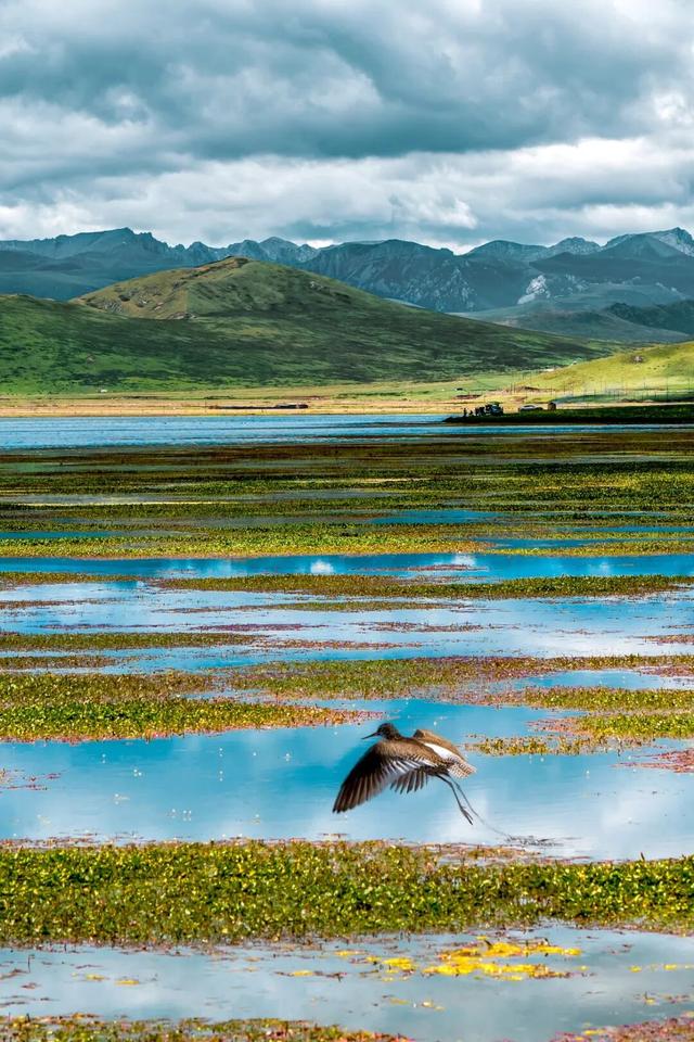 地理冷知识—中国的自治州