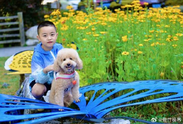 古尔沟 一个来了还想来的避暑胜地