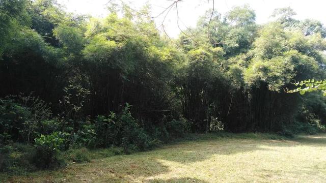带着孙女去旅行（154）海口白沙公园