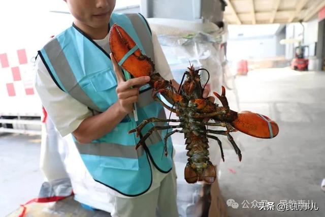 顺丰航空开通首条第五航权货运航线