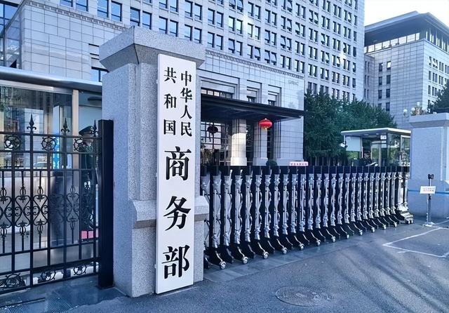 惹怒中国后	，报应来了！荷兰首相被赶下台，安世“解封”倒计时？