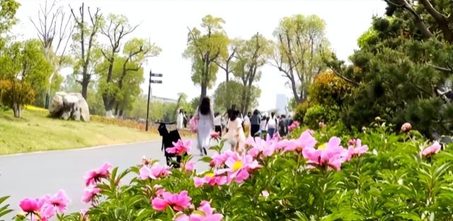 双节假期完美收官 文旅融合绘新卷