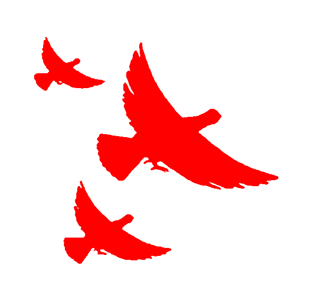 感恩回馈，门票免费！临沂这家景区邀您回家看看