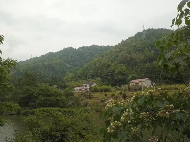 浏河滚滚欲留春，独向芳踪觅雅意——徒步小溪河散记（九）