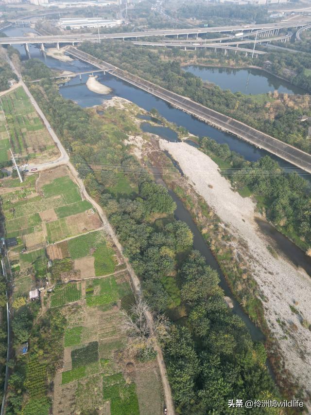 四川行(75)广汉②金雁湖公园·黑塔街·龙居寺
