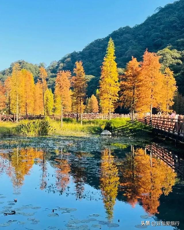 沉浸绿城,品人文山水,尝地道美味——南宁四天慢旅行指南