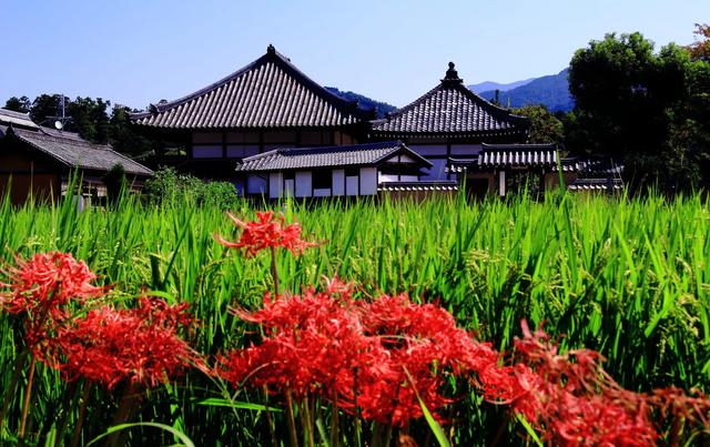 奈良飞鸟地区——日本古代国家形成的核心区域