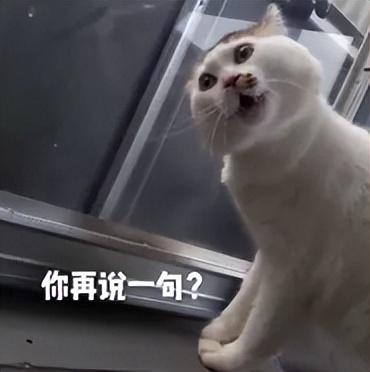 为什么火车上乘务人员，会拿一个没光的手电筒照来照去？