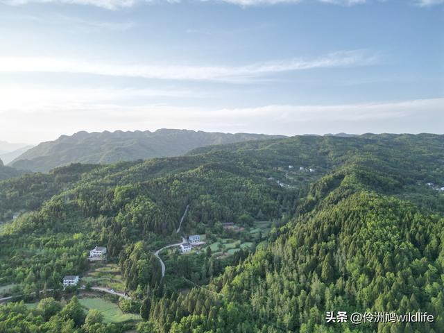 四川行(68)古蜀道——金牛道60公里徒步⑤普安到翠云廊沿途航拍