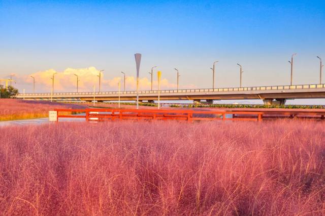 烟台秋日绝色盛宴筹备中，走！寻秋去！