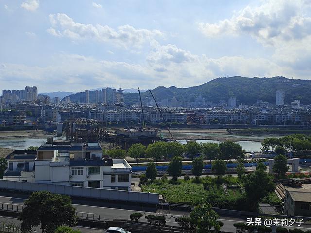 福鼎市区一日游：从白茶发源地到市井小吃赏唐风建筑品山海韵味