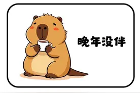 太真实了，这世界有点癫图片