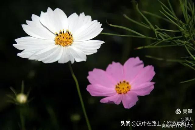 汉中汉江源:藏着汉文化密码秘境美成诗画!