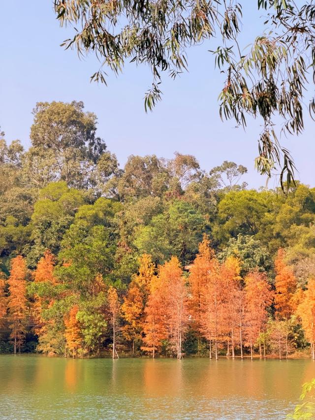 广州人逛了江门和中山，直言不讳：江门和中山人根本是两种活法！