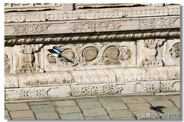 沈阳东陵郊野公园“精灵”出没