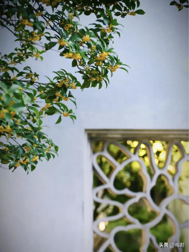 乾隆六巡裁桂雨，一城香史落谁襟