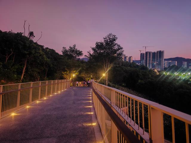 西丽湖国际科教城绿道，看霞飞满天，如梦似幻！长岭陂地铁C口