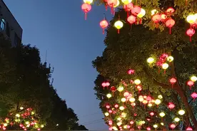 电信在我所在地话费贵信号差图片